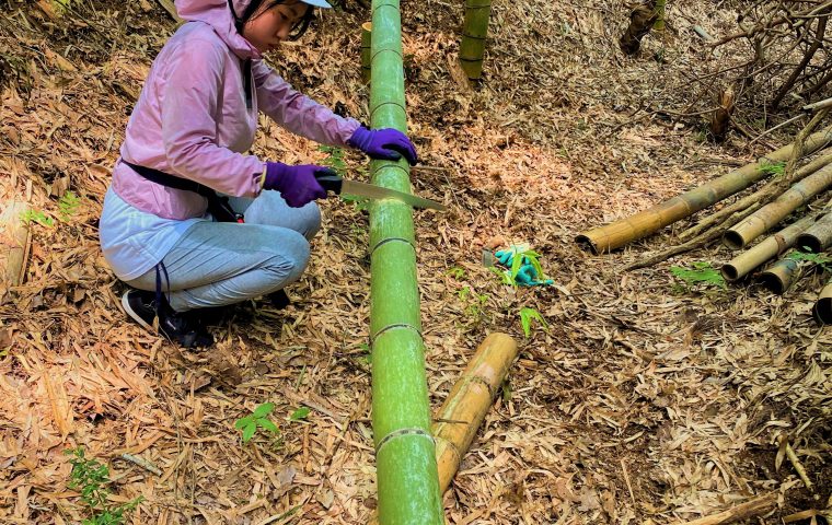 竹を切るワークショップ